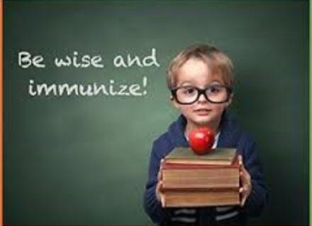 Immunization Information For Child Care And School Providers | Vermont ...