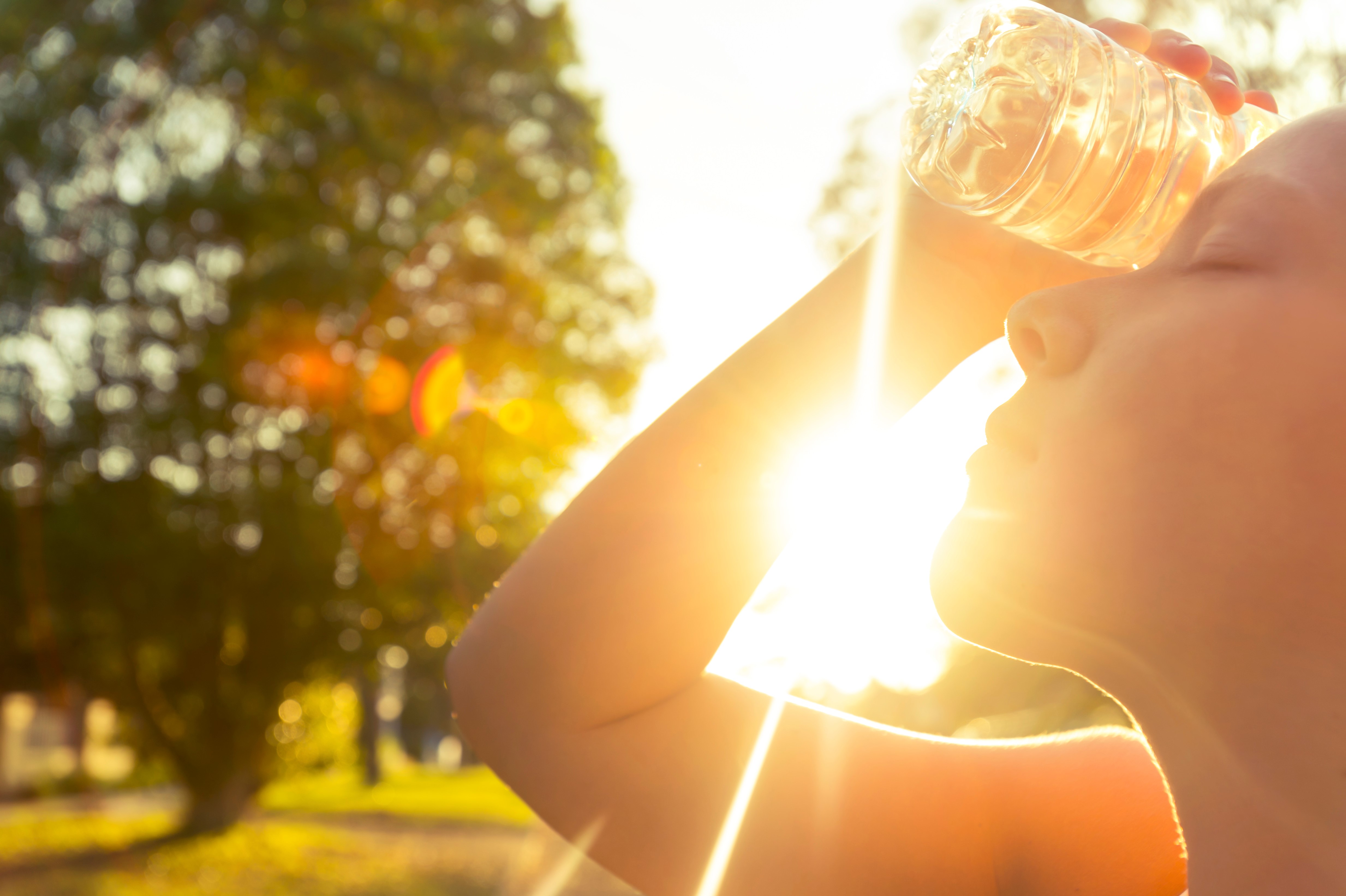 Hot Weather Vermont Department Of Health