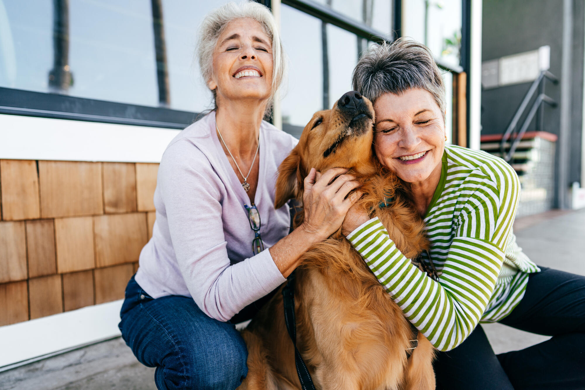 Two senior women hugging a large dog