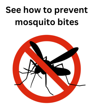 See how to prevent mosquito bites