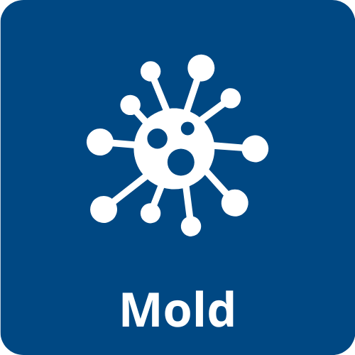 mold