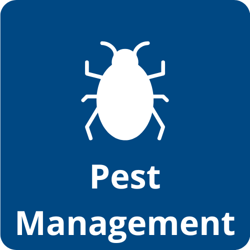 Pest management