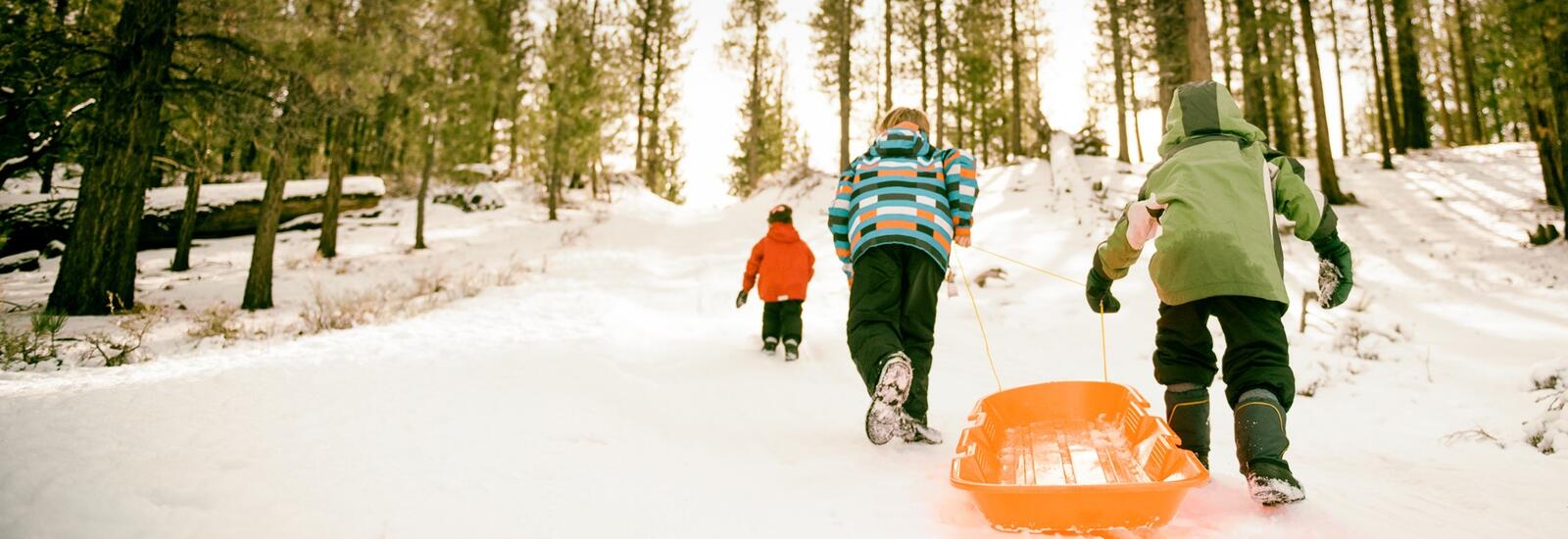 Kids climbing a hill with a sled.