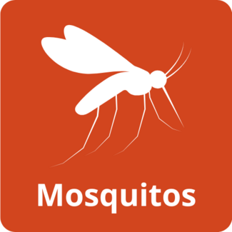 Mosquitos