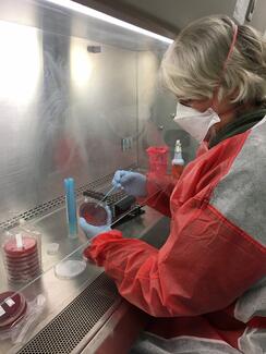 woman performing lab test