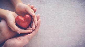 adult_and_child_hand_holding_a_heart