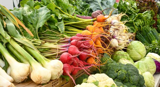 Image of assorted vegetables