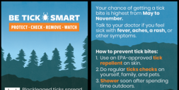 Tick Bite Illness Prevention Card Screenshot Low Res