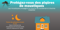 mosquito bite prevention flyer French