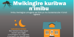 mosquito bite prevention flyer Kirundi