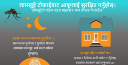 mosquito bite prevention flyer Nepali