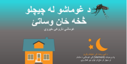 mosquito bite prevention flyer Pashto