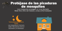 mosquito bite prevention flyer Spanish