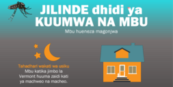 mosquito bite prevention flyer Swahili