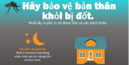 mosquito bite prevention flyer Vietnamese