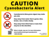 yellow caution cyanobacteria alert sign